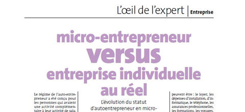Micro-entrepreneur versus entreprise individuelle au réel