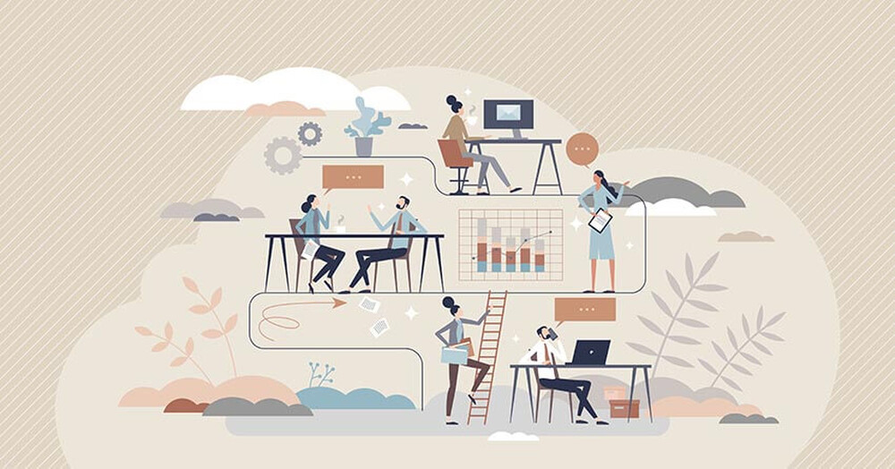 Conseil en gestion et développement